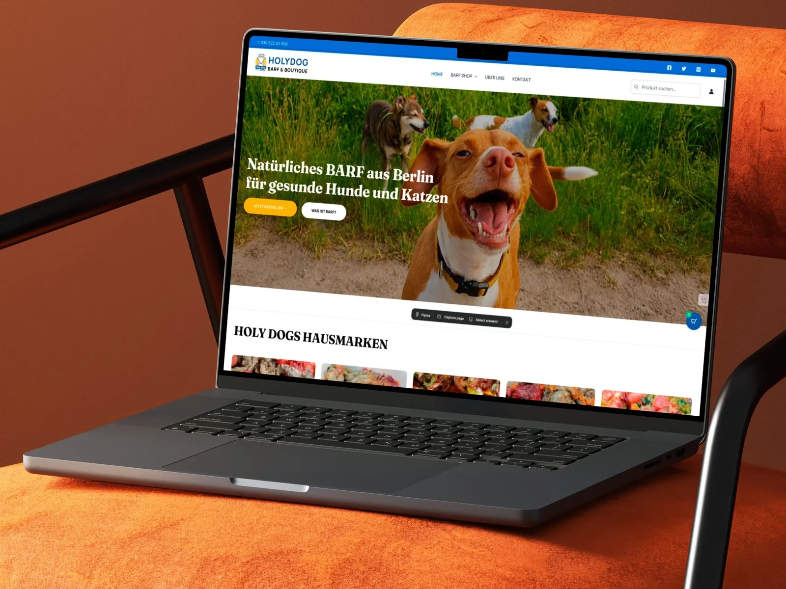 Holydog website on a laptop